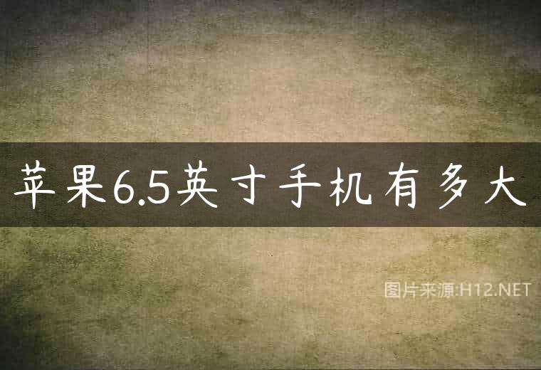苹果6.5英寸手机有多大