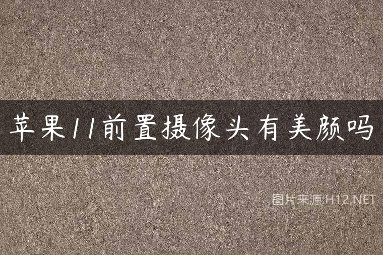 苹果11前置摄像头有美颜吗