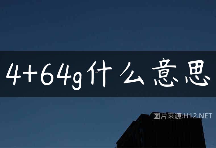 4+64g什么意思