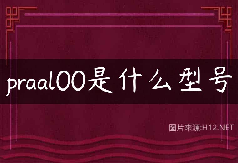 praal00是什么型号