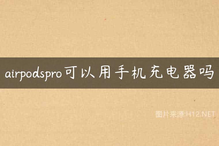 airpodspro可以用手机充电器吗