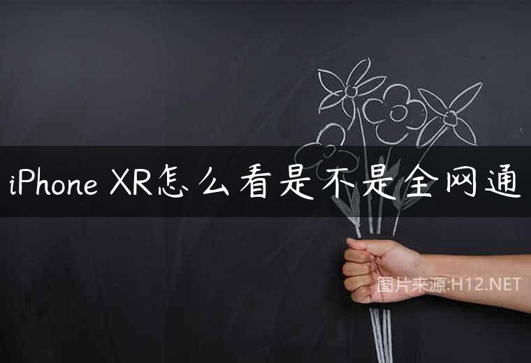 iPhone XR怎么看是不是全网通