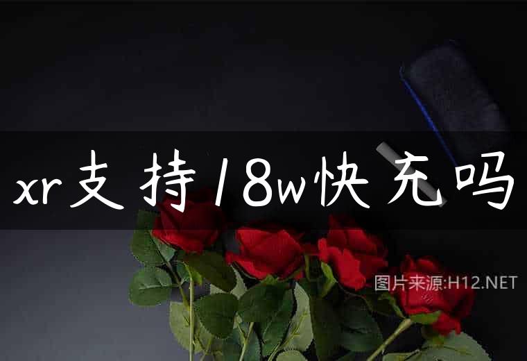 xr支持18w快充吗