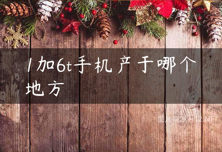 1加6t手机产于哪个地方