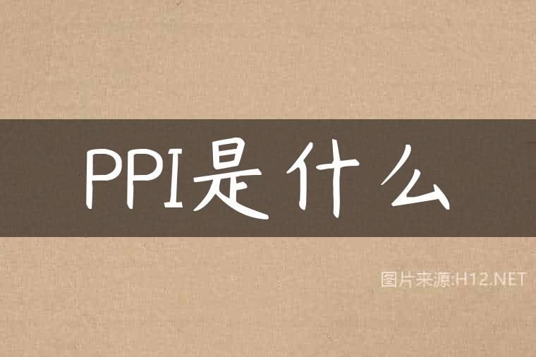 PPI是什么