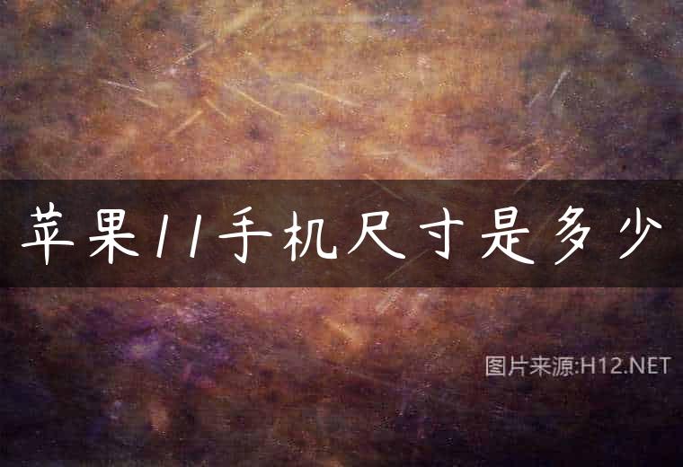 苹果11手机尺寸是多少
