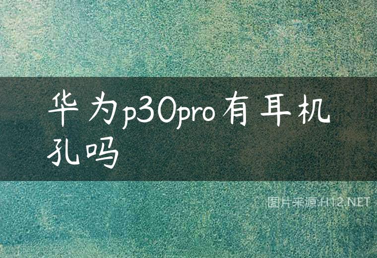 华为p30pro有耳机孔吗
