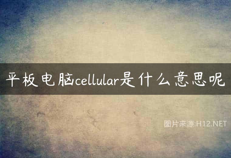 平板电脑cellular是什么意思呢