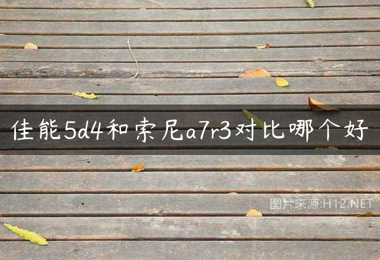 佳能5d4和索尼a7r3对比哪个好