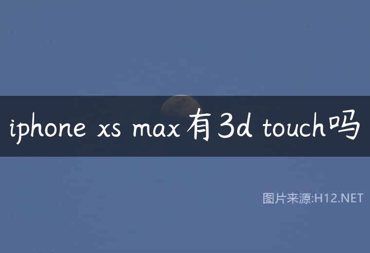 iphone xs max有3d touch吗