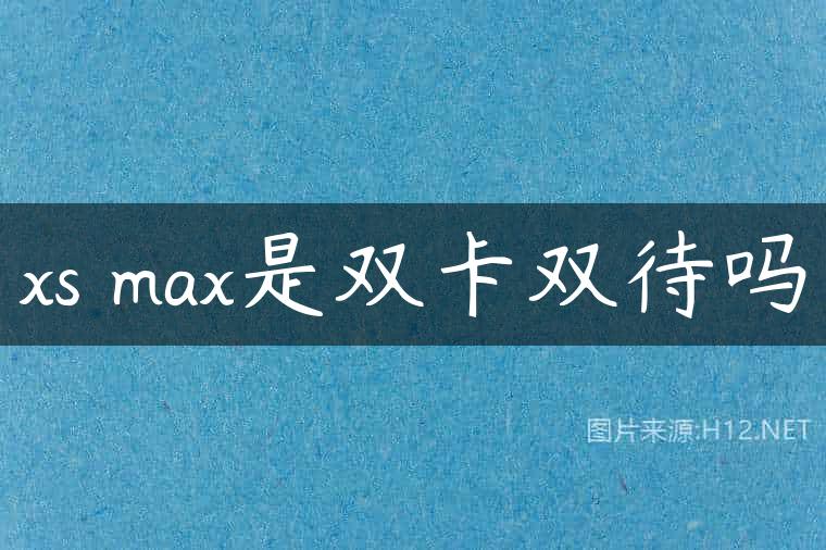 xs max是双卡双待吗