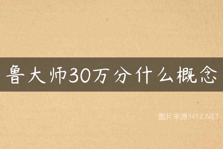 鲁大师30万分什么概念