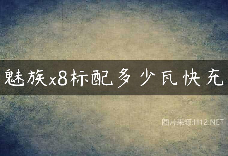 魅族x8标配多少瓦快充
