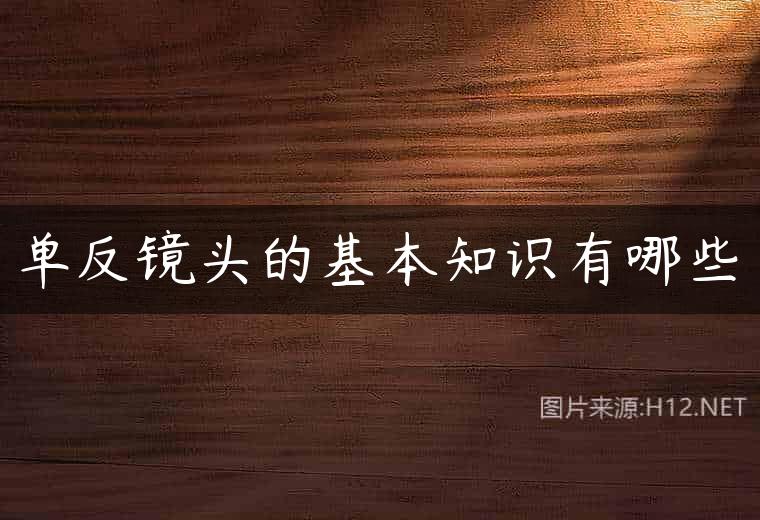 单反镜头的基本知识有哪些