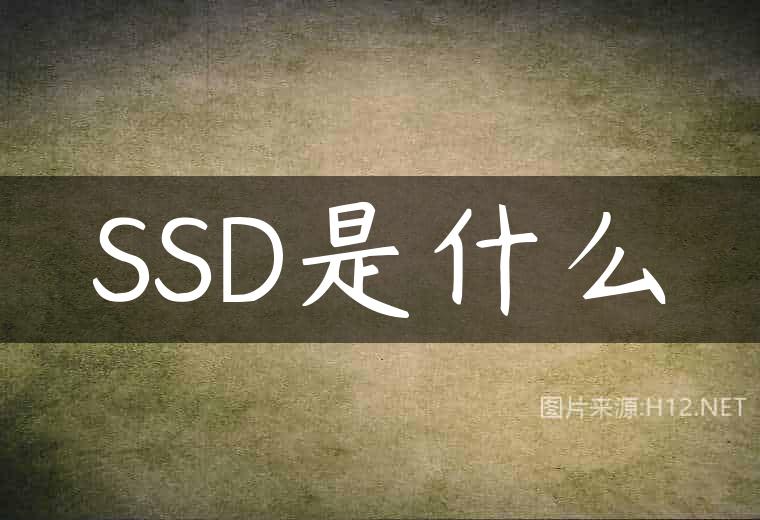 SSD是什么