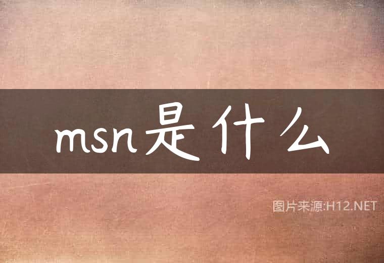 msn是什么