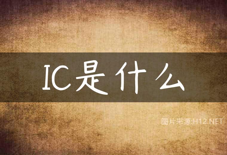 IC是什么