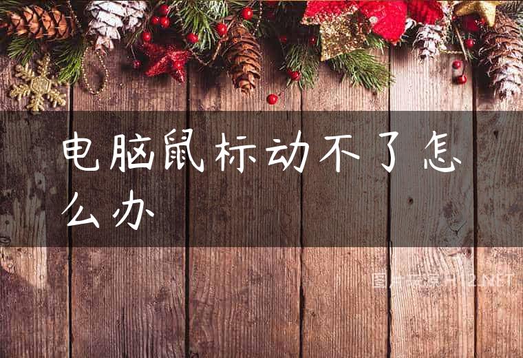电脑鼠标动不了怎么办