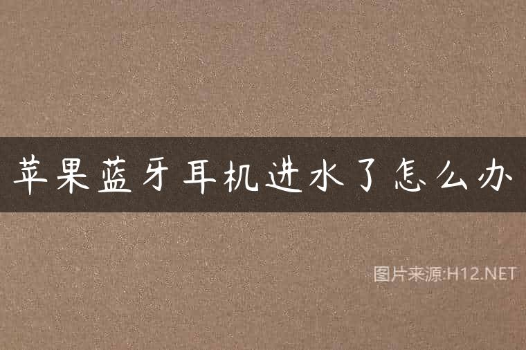 苹果蓝牙耳机进水了怎么办
