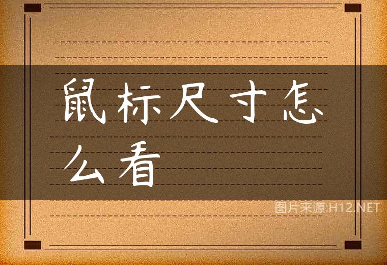 鼠标尺寸怎么看