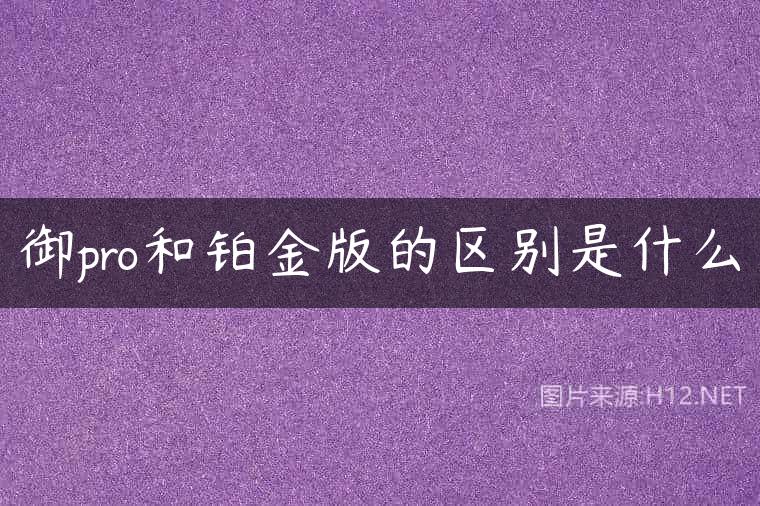 御pro和铂金版的区别是什么