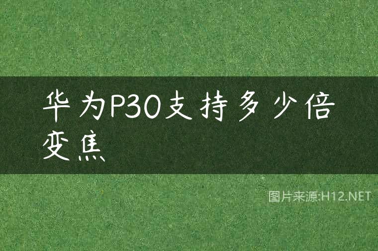 华为P30支持多少倍变焦