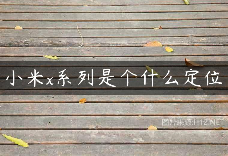 小米x系列是个什么定位