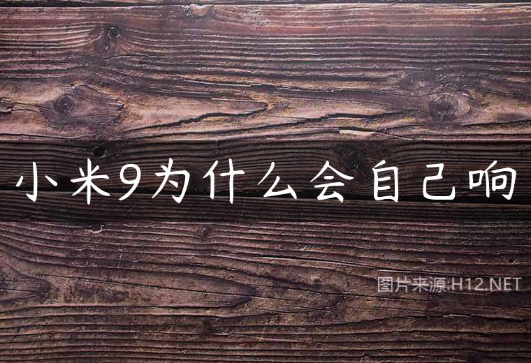 小米9为什么会自己响