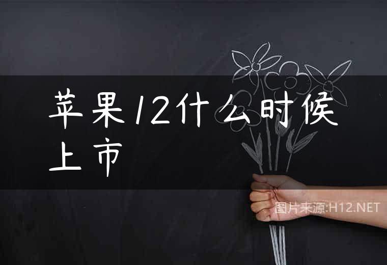 苹果12什么时候上市