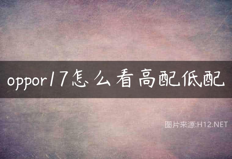 oppor17怎么看高配低配