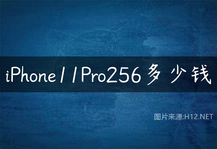 iPhone11Pro256多少钱