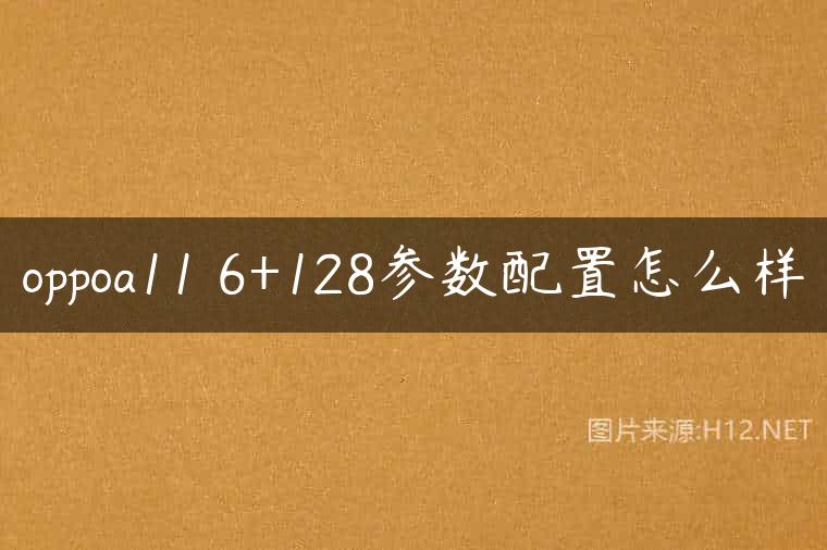 oppoa11 6+128参数配置怎么样