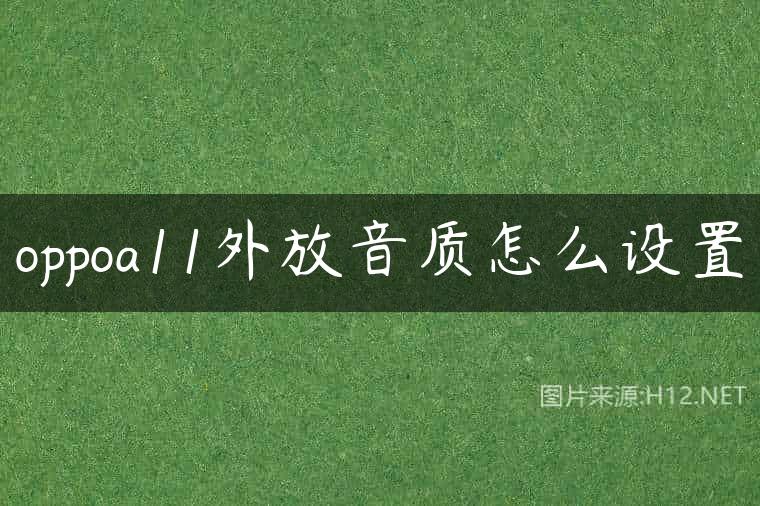 oppoa11外放音质怎么设置