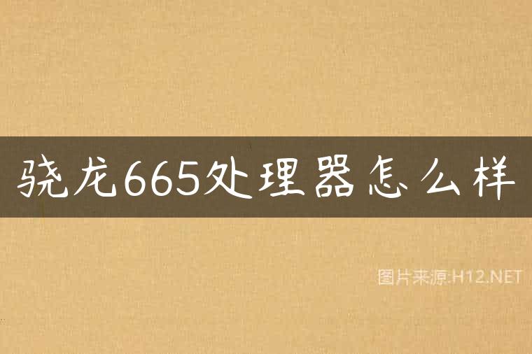 骁龙665处理器怎么样