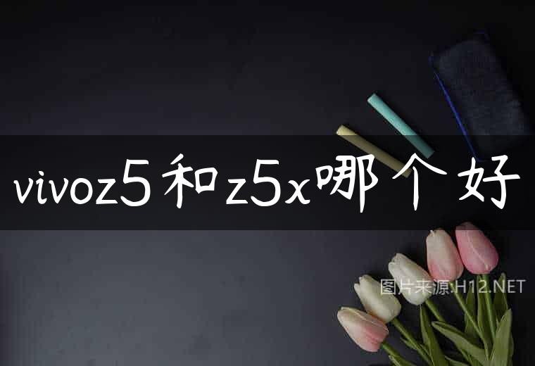 vivoz5和z5x哪个好