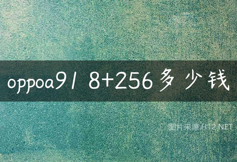oppoa91 8+256多少钱