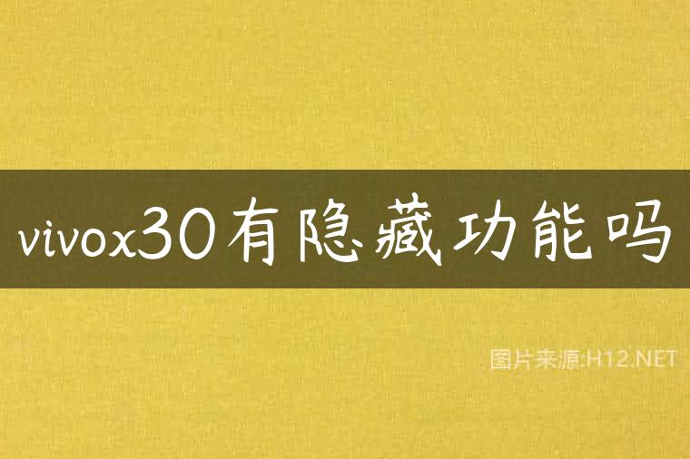 vivox30有隐藏功能吗