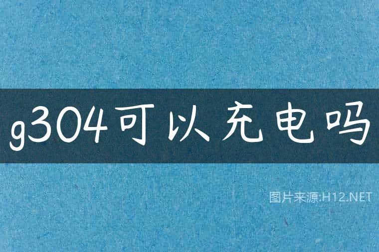 g304可以充电吗