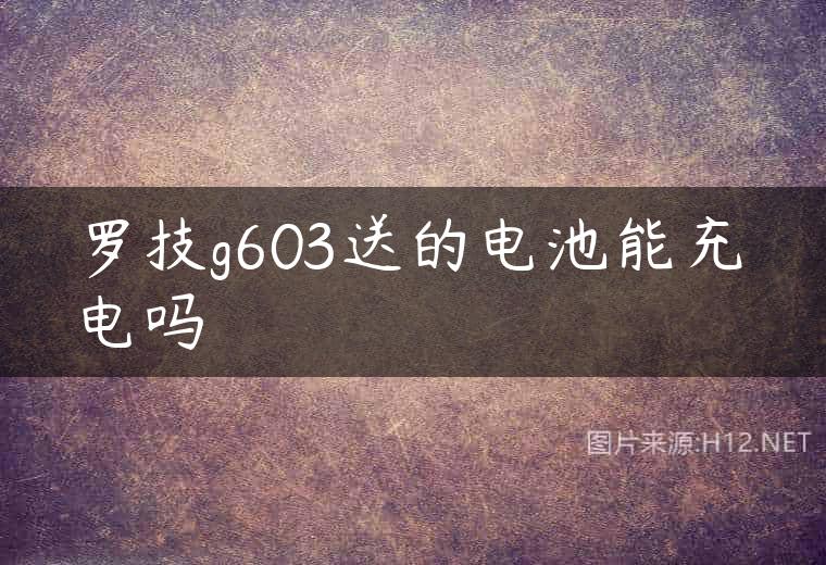 罗技g603送的电池能充电吗