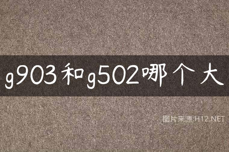 g903和g502哪个大