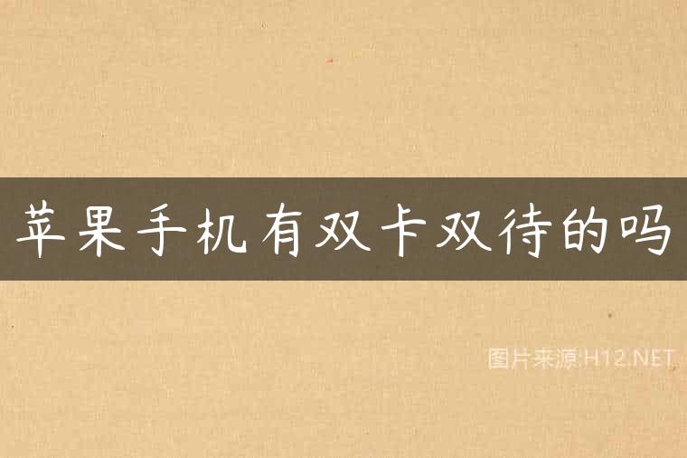 苹果手机有双卡双待的吗