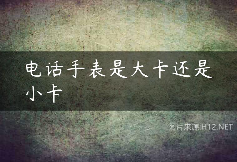 电话手表是大卡还是小卡