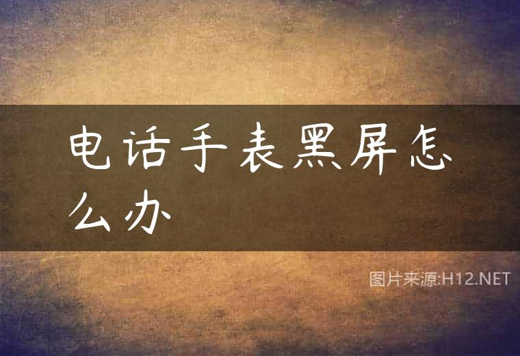 电话手表黑屏怎么办