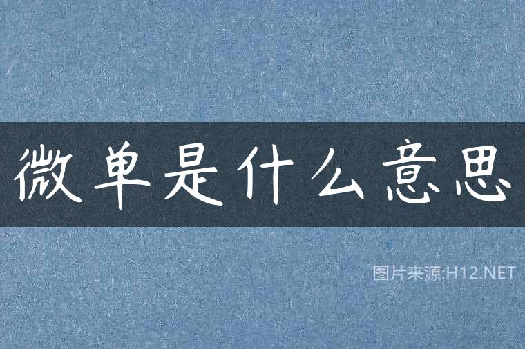 微单是什么意思