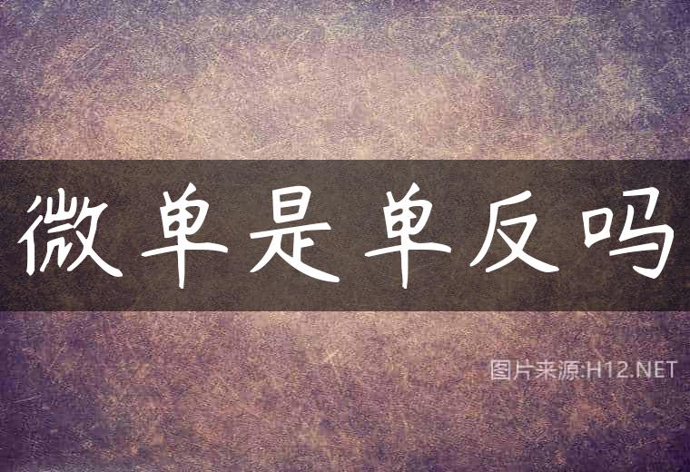 微单是单反吗