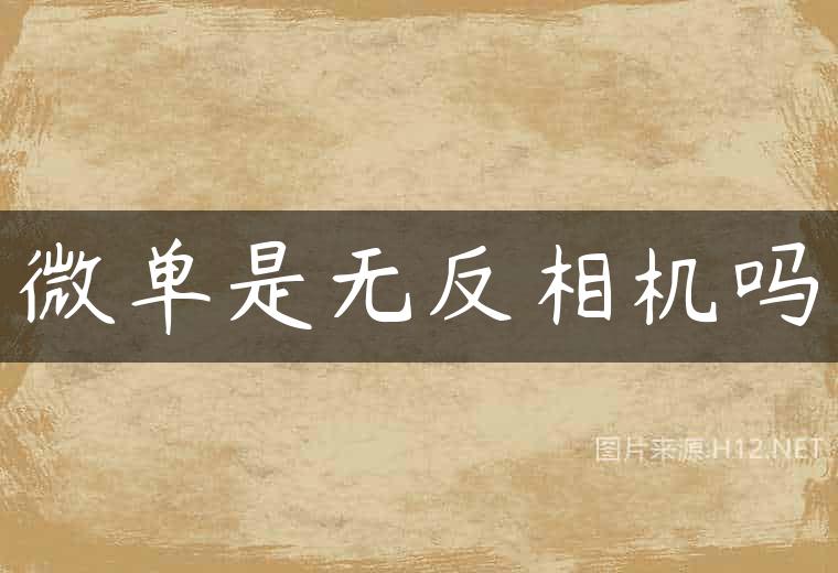微单是无反相机吗