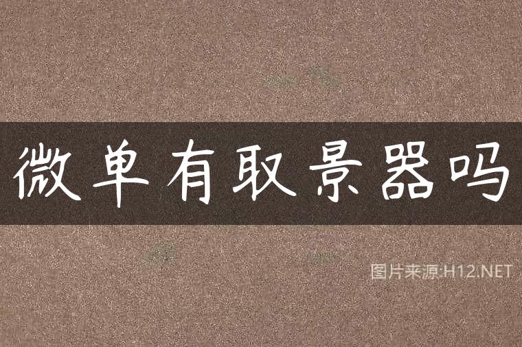 微单有取景器吗