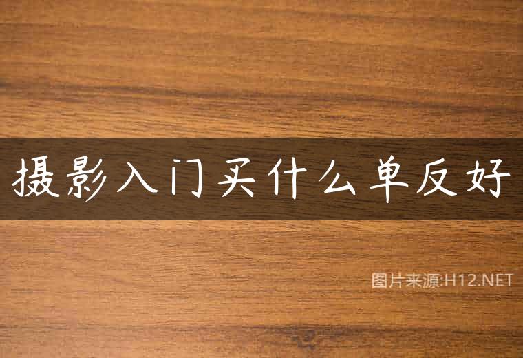 摄影入门买什么单反好
