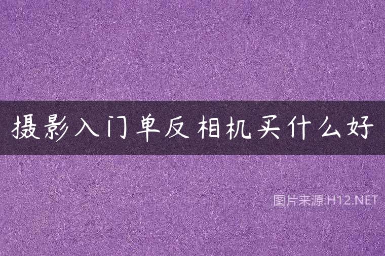 摄影入门单反相机买什么好