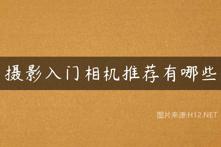 摄影入门相机推荐有哪些